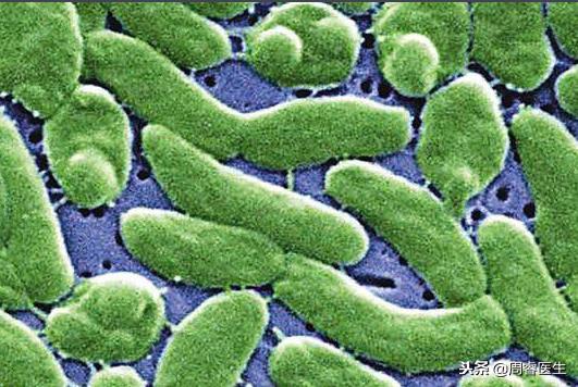 被螃蟹夹到手指流血哇哇大哭,螃蟹夹手指如何自救