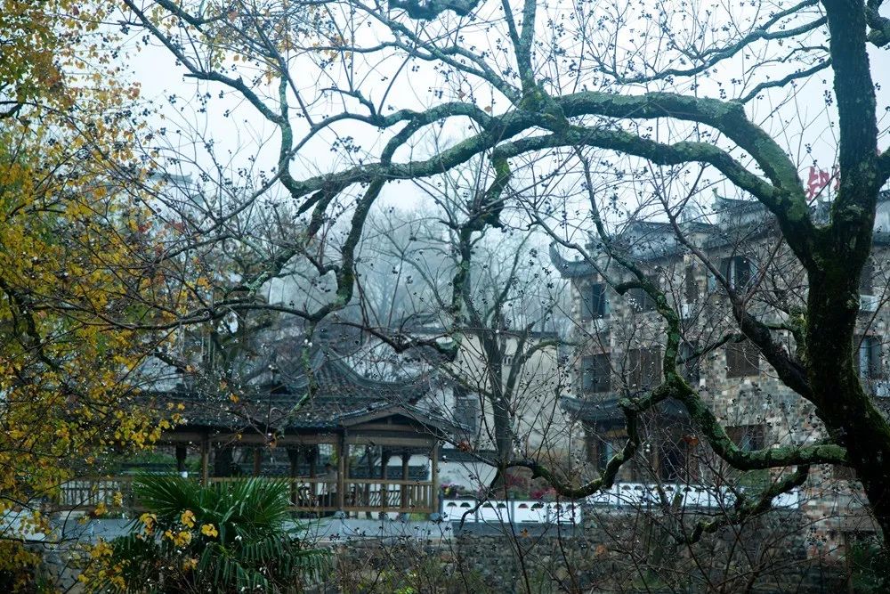 徽州赏秋三日游自驾游攻略,小众徽州赏秋村落