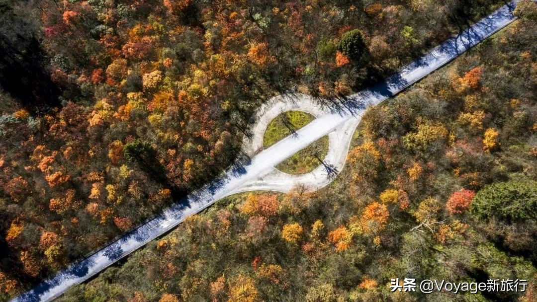 挑战21世纪最低温！我们为你盘点了比“泼水成冰”更美的冬日限定