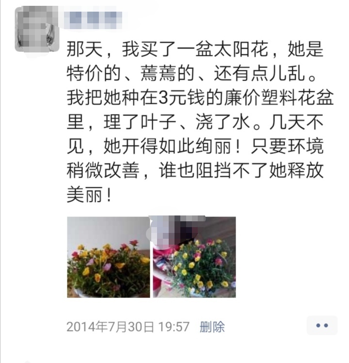 懒人养花小妙招盆栽,懒人养花直播