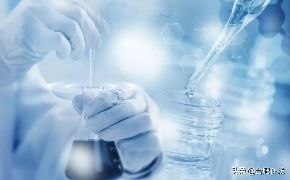 合肥投资界的黑马,合肥下一个黑马是谁