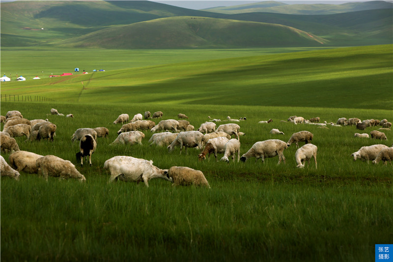 带你看美丽的呼伦贝尔大草原,呼伦贝尔大草原欣赏