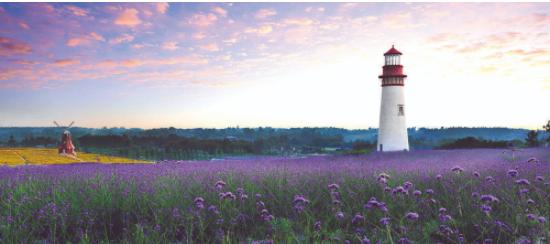 成都乡村振兴田园综合体,天府新区乡村振兴规划