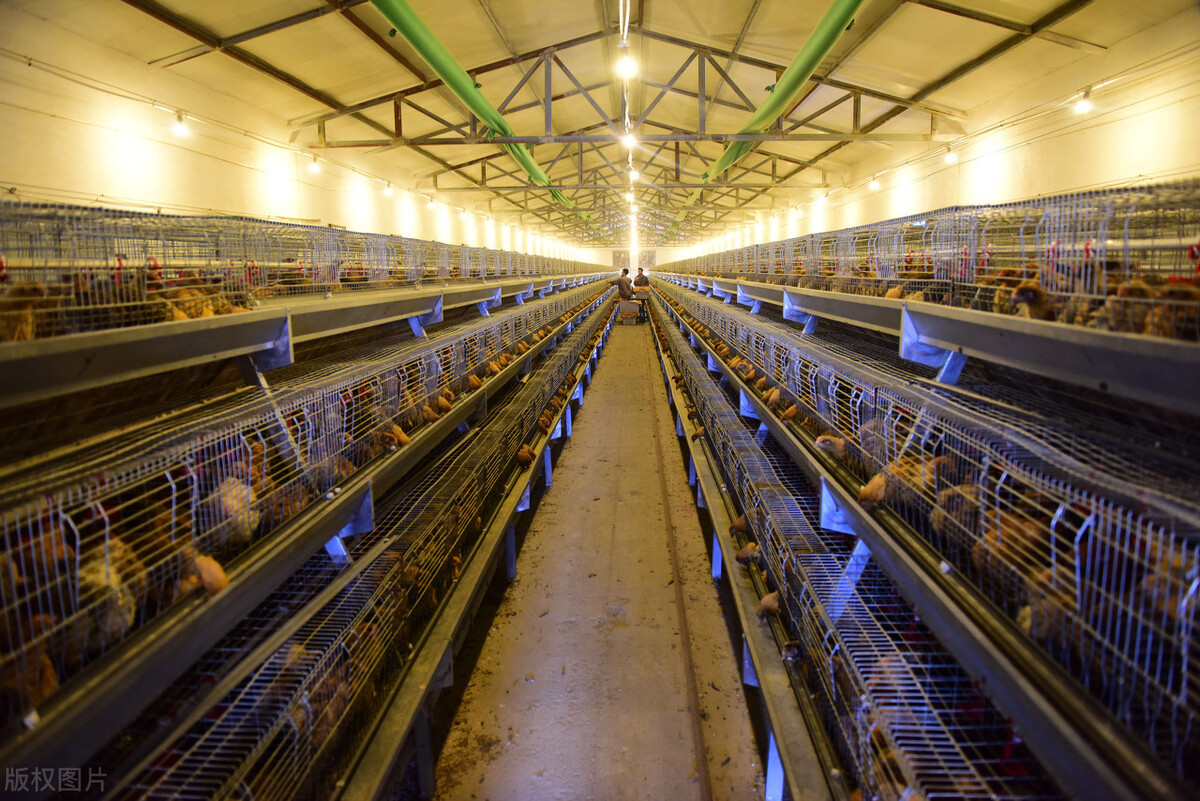 成都最新立项项目,成都市2023年重大项目清单高新区