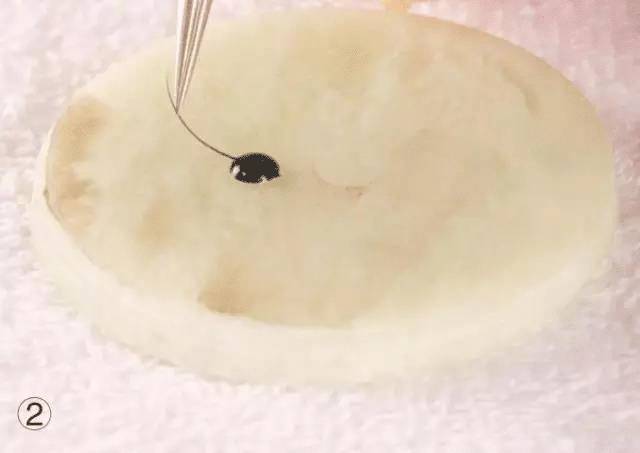 嫁接睫毛技术进行中,m型嫁接睫毛教程零基础手法