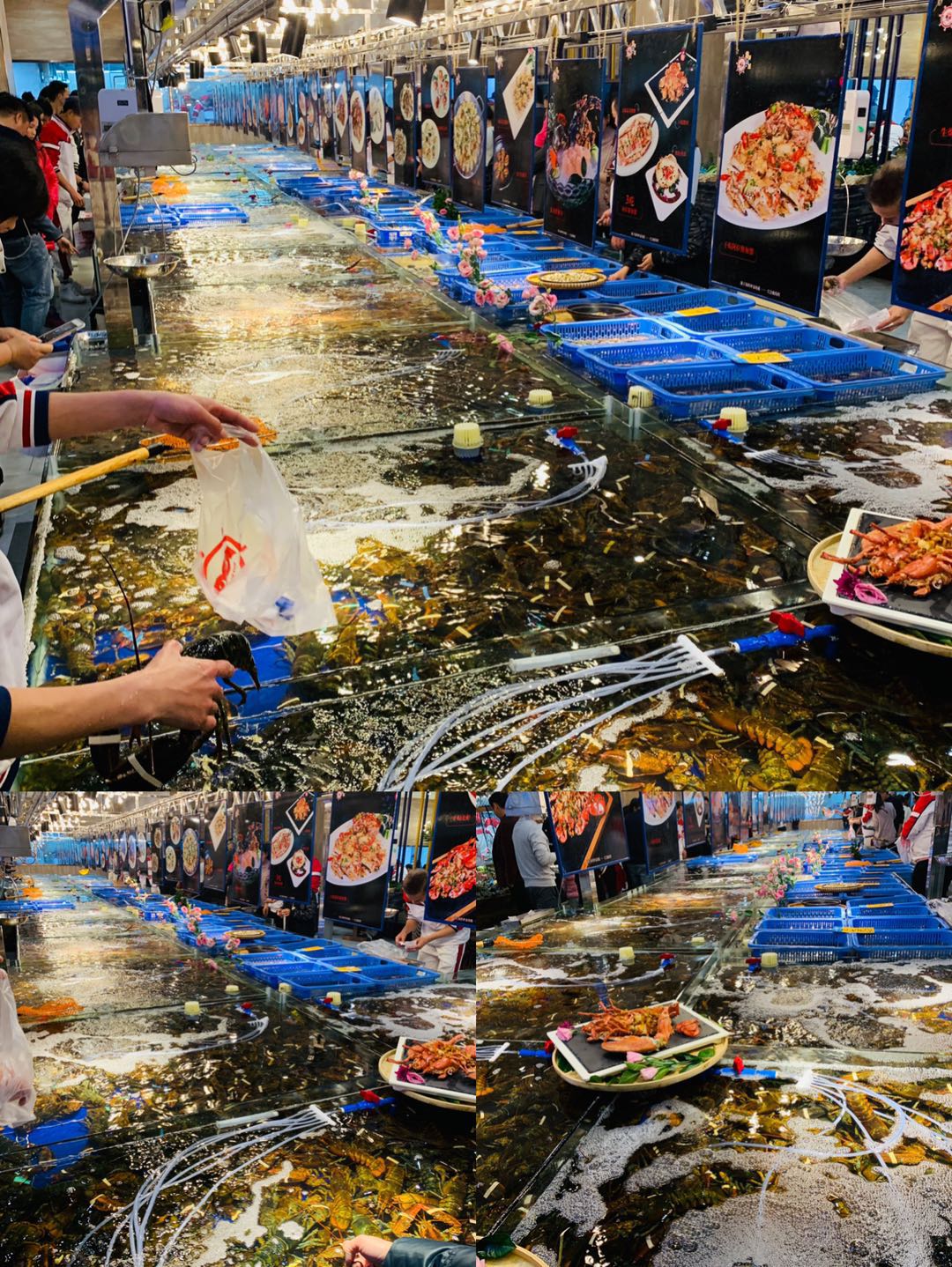 椰林海鲜码头基地,椰林8号海鲜码头团购