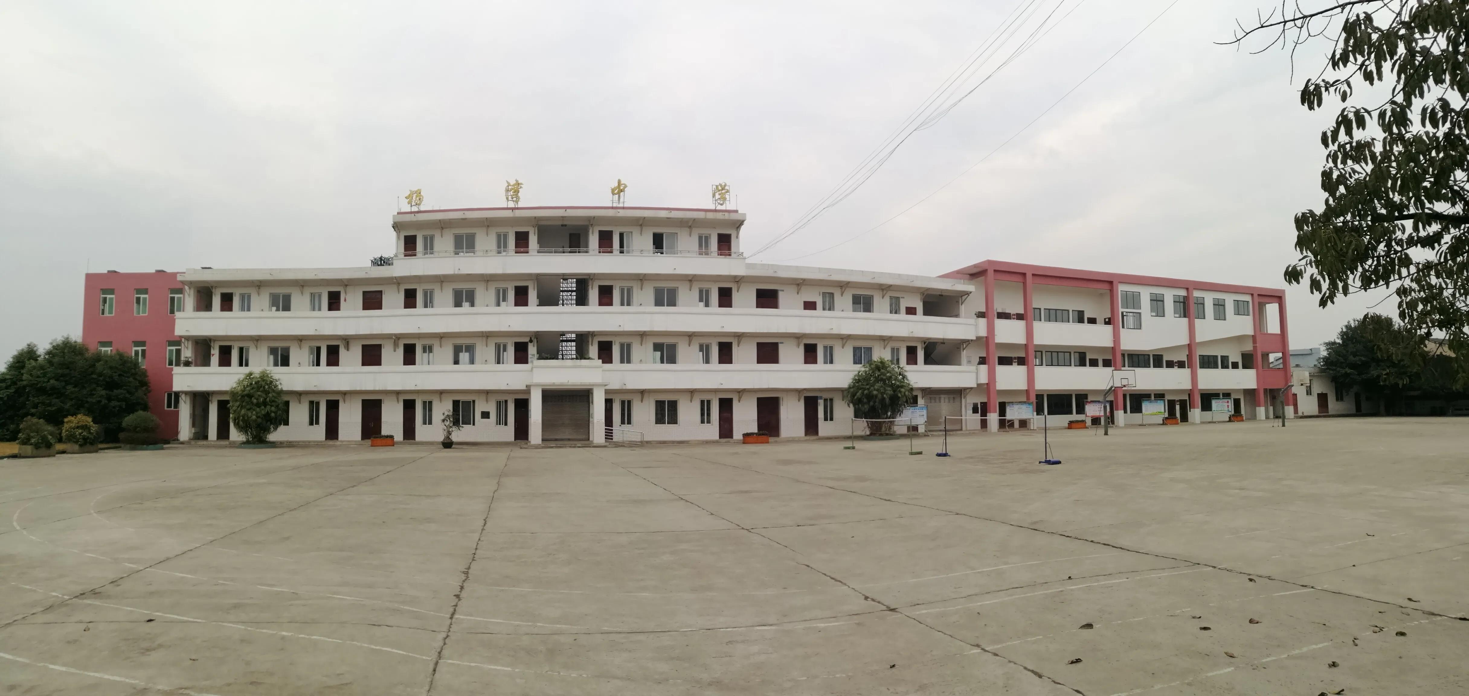 乐山杨湾乡纳入城中心了吗,乐山杨湾乡未来规划