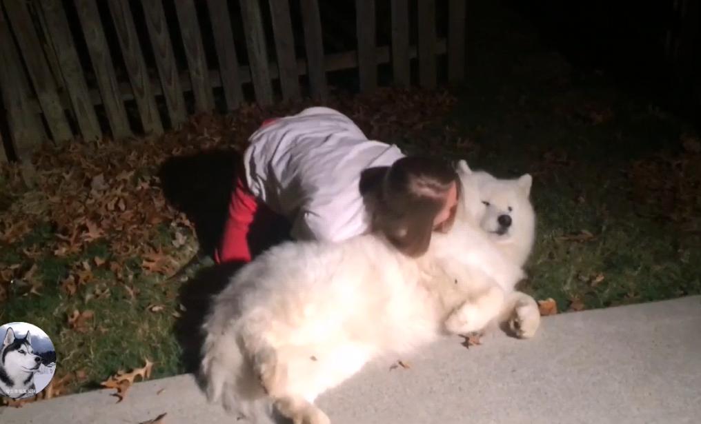 大白狗在公园交了“女友”，拒绝跟主人回家：感觉失恋了