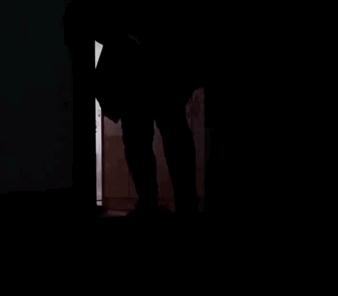 教你5招让你高冷的猫咪变得粘人,猫咪高冷不亲人