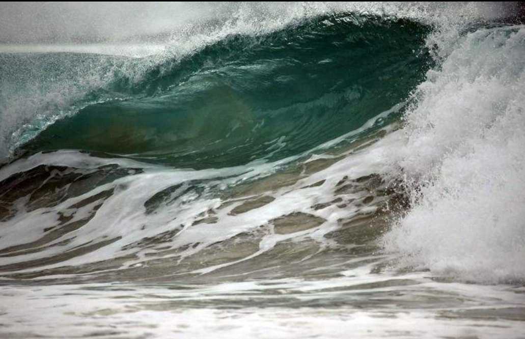 他们为什么去创业,他们为啥选择返乡创业