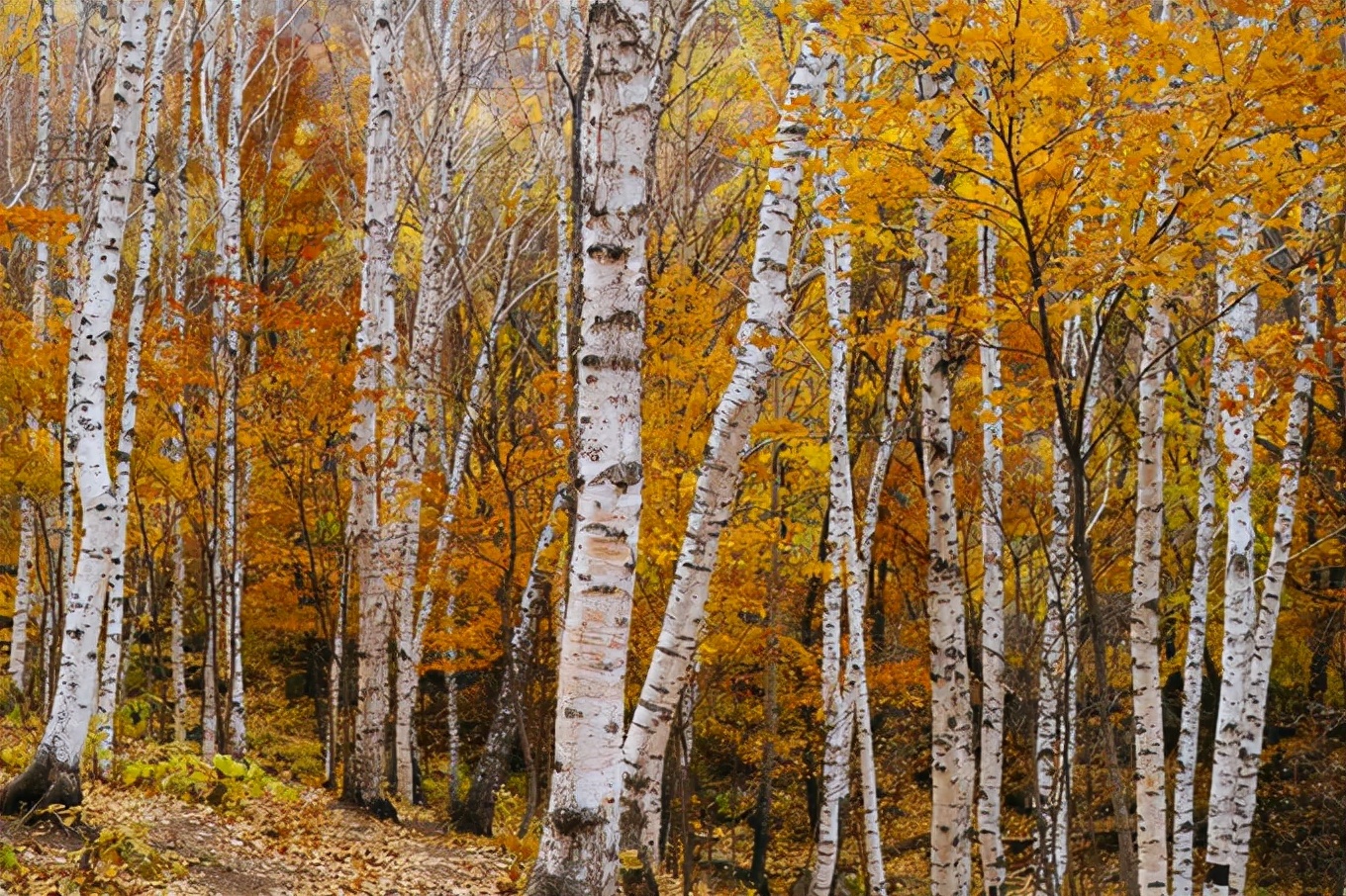 北京喇叭沟门,北京喇嘛沟门游玩