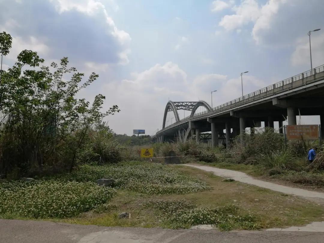 温江金马湖现状,金马湖烂尾楼在哪里