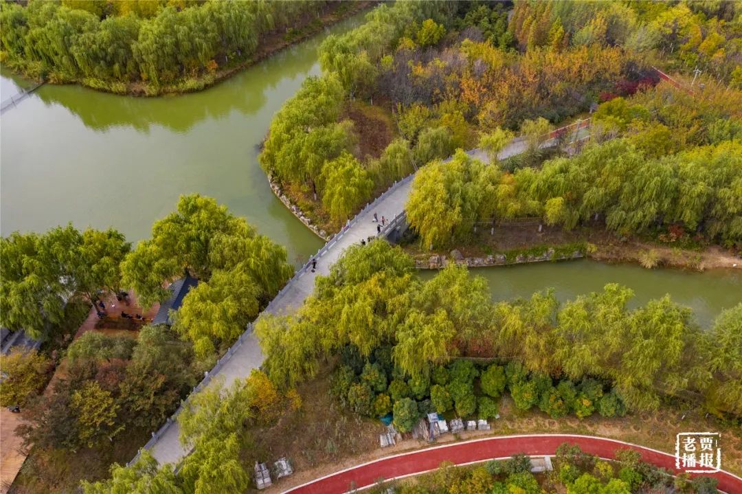 洛阳一大型网红公园免费开放,洛阳湿地公园网红打卡地