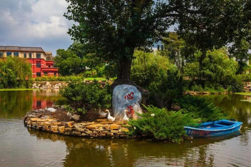 大连海事大学辽宁省大学排名,孔峰辽宁省教育厅大连海事大学