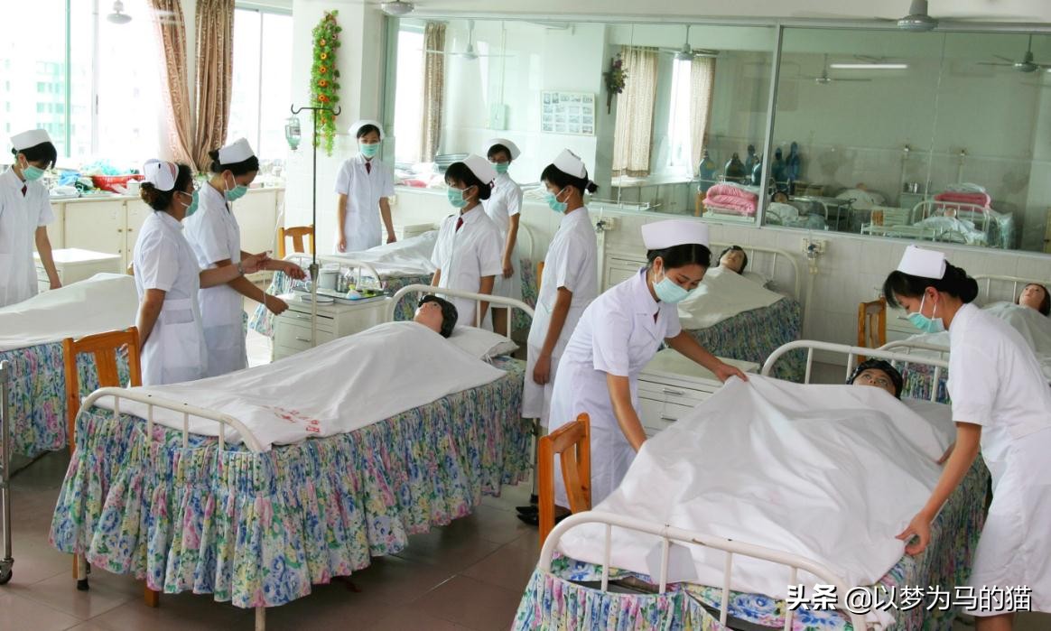 就业率最高的十大专科专业,9个就业率很高的专业