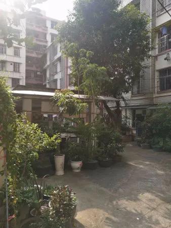 广州黄花岗最新学区房,越秀黄花小学房价