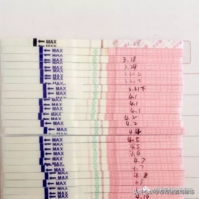 排卵期怎么计算以及怎么备孕,备孕测排卵的正确方法