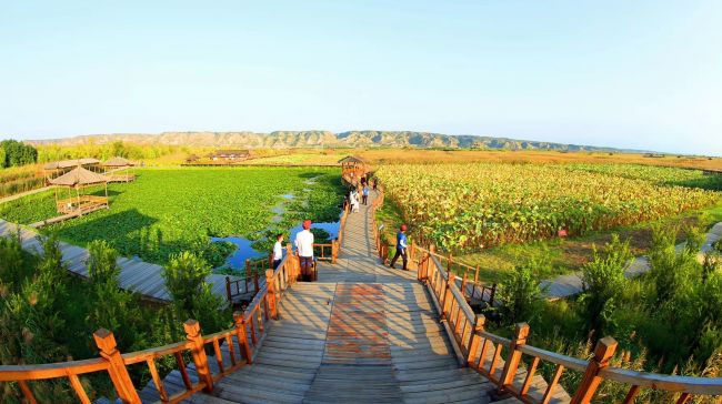 2019合阳县旅游文化,合阳文化旅游视频