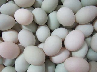 广西土林有什么特产出名,老友粉是广西哪里的特产