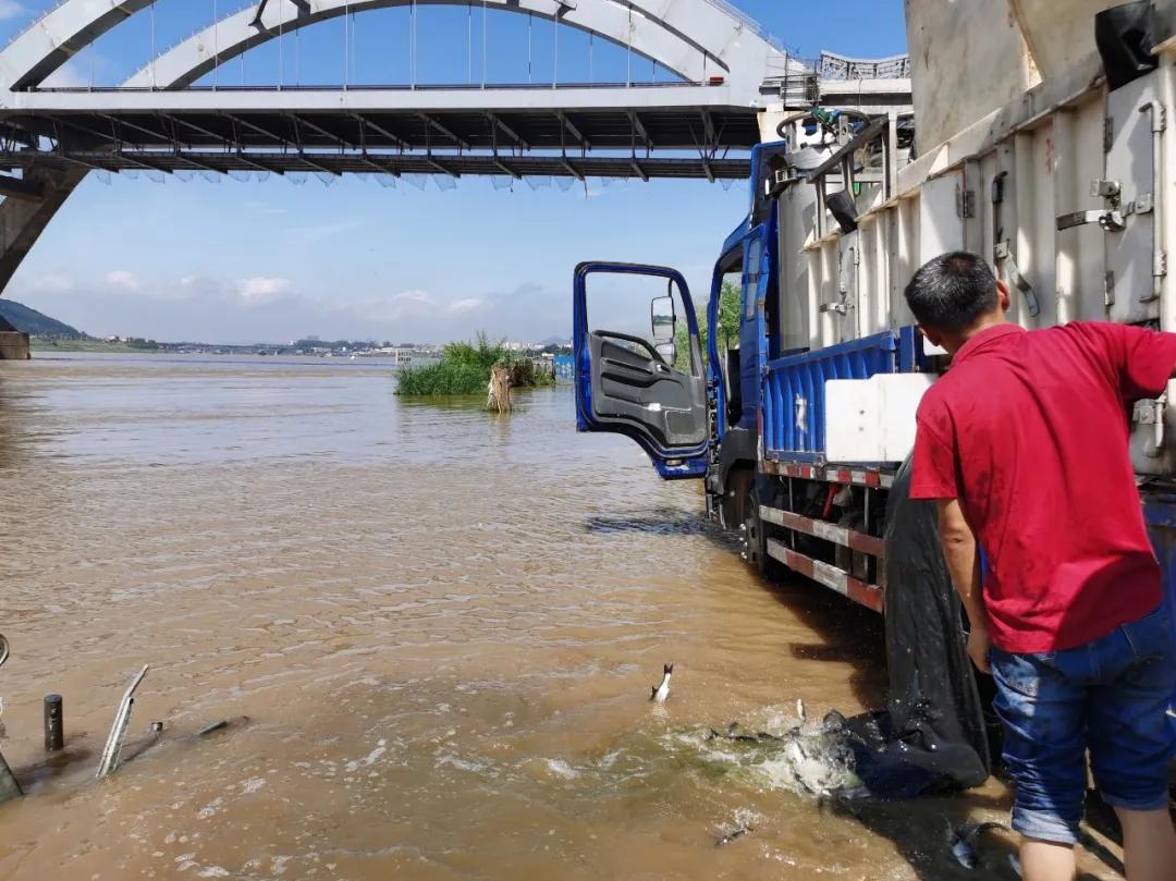 我为群众办实事法院工作报道,我为群众办实事与乡村振兴相结合