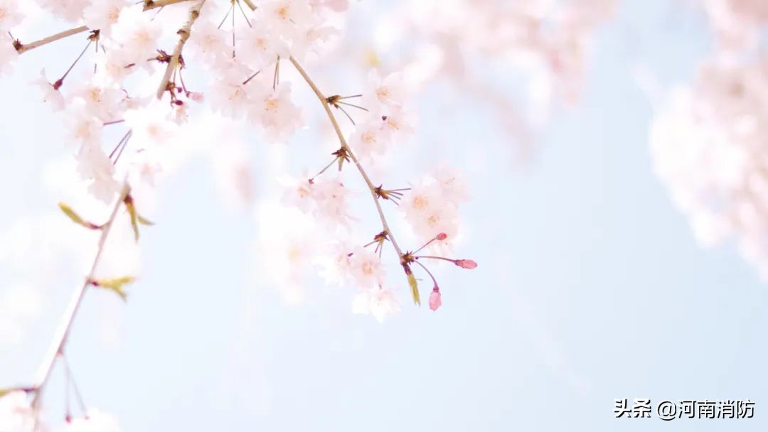 建筑工地常备的消防器材有哪些,家中应备的消防用品