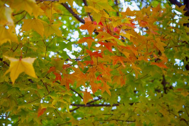 内蒙古的“土豪”大学,是一所省部共建高校,校园风景四季美如画