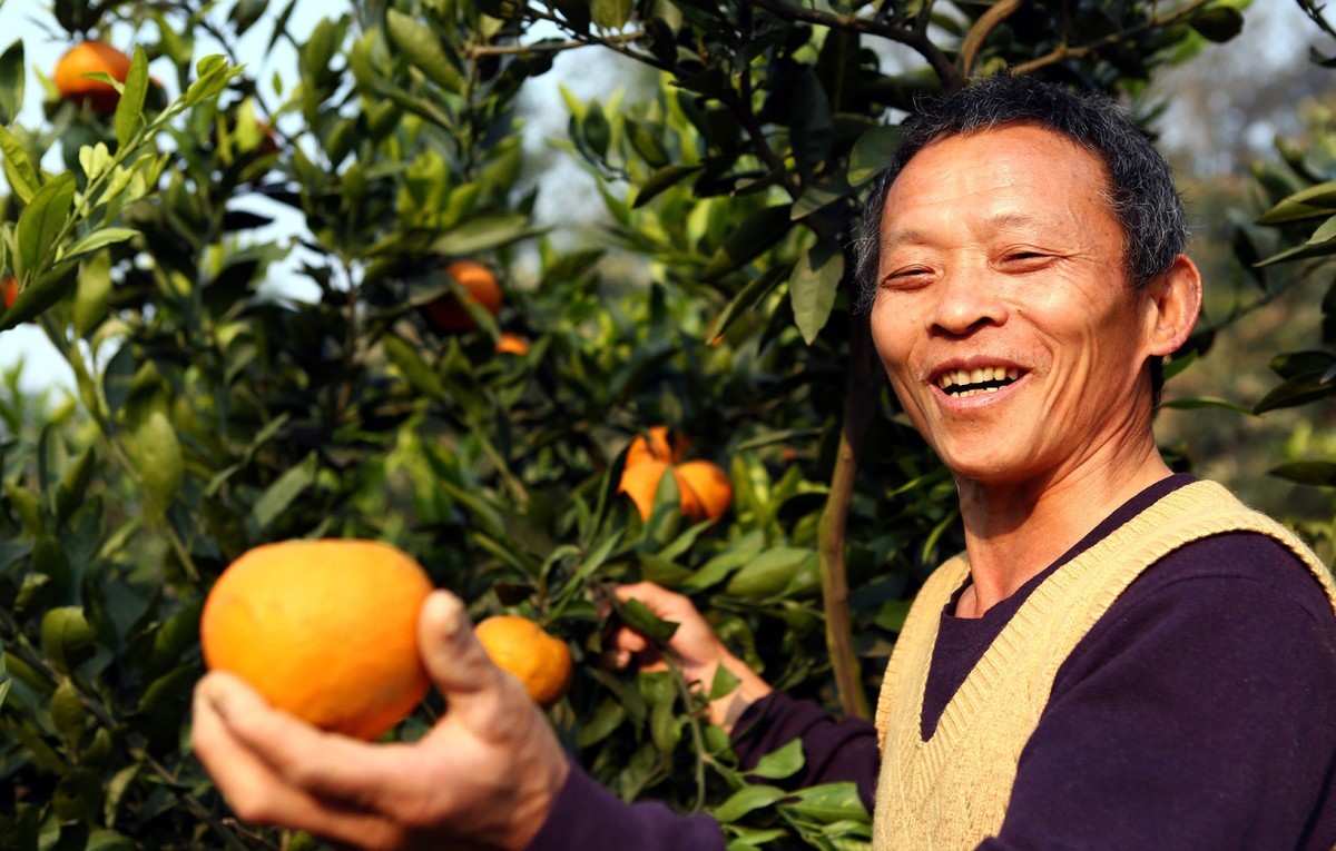 干货如何打造个人品牌店铺,爆品农产品制作