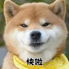 纯爱!《你的味道我知道》齁甜互宠小霸王满嘴跑火车,白切黑芝麻