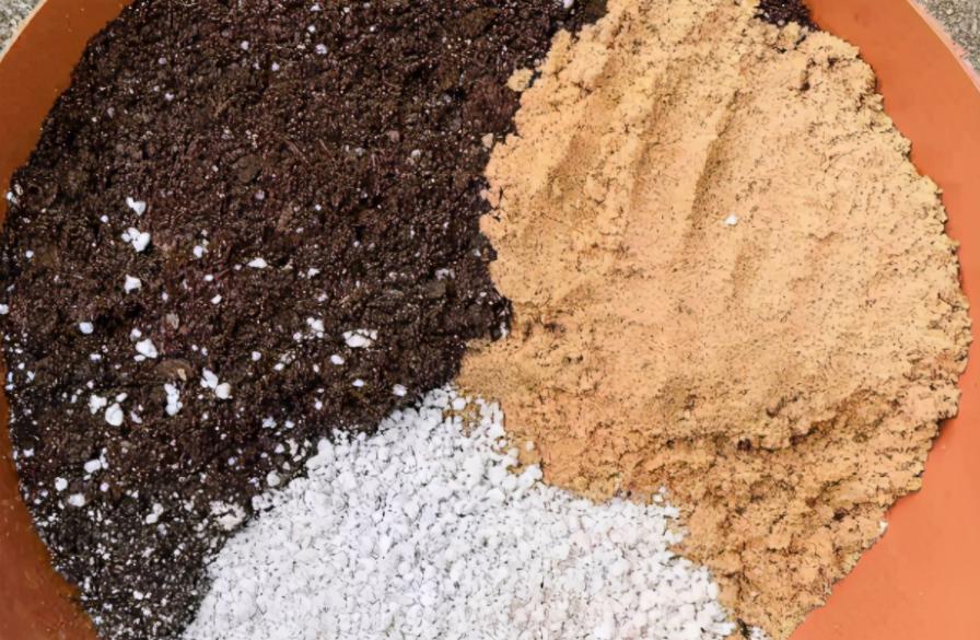 家庭养花疏松透气配土材质,养花的土怎么才能疏松透气