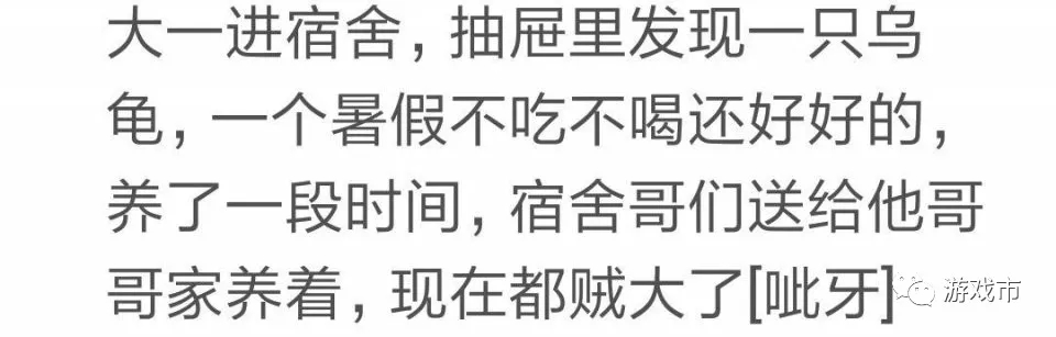 学长学姐都给你留下了什么,学长在宿舍里留下的东西