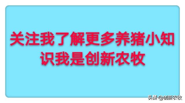 猪附红细胞体病怎么预防,猪附红细胞体病最佳治疗
