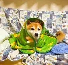 常德大暴雪具体什么时候下雪,常德天气今冬第二场雪