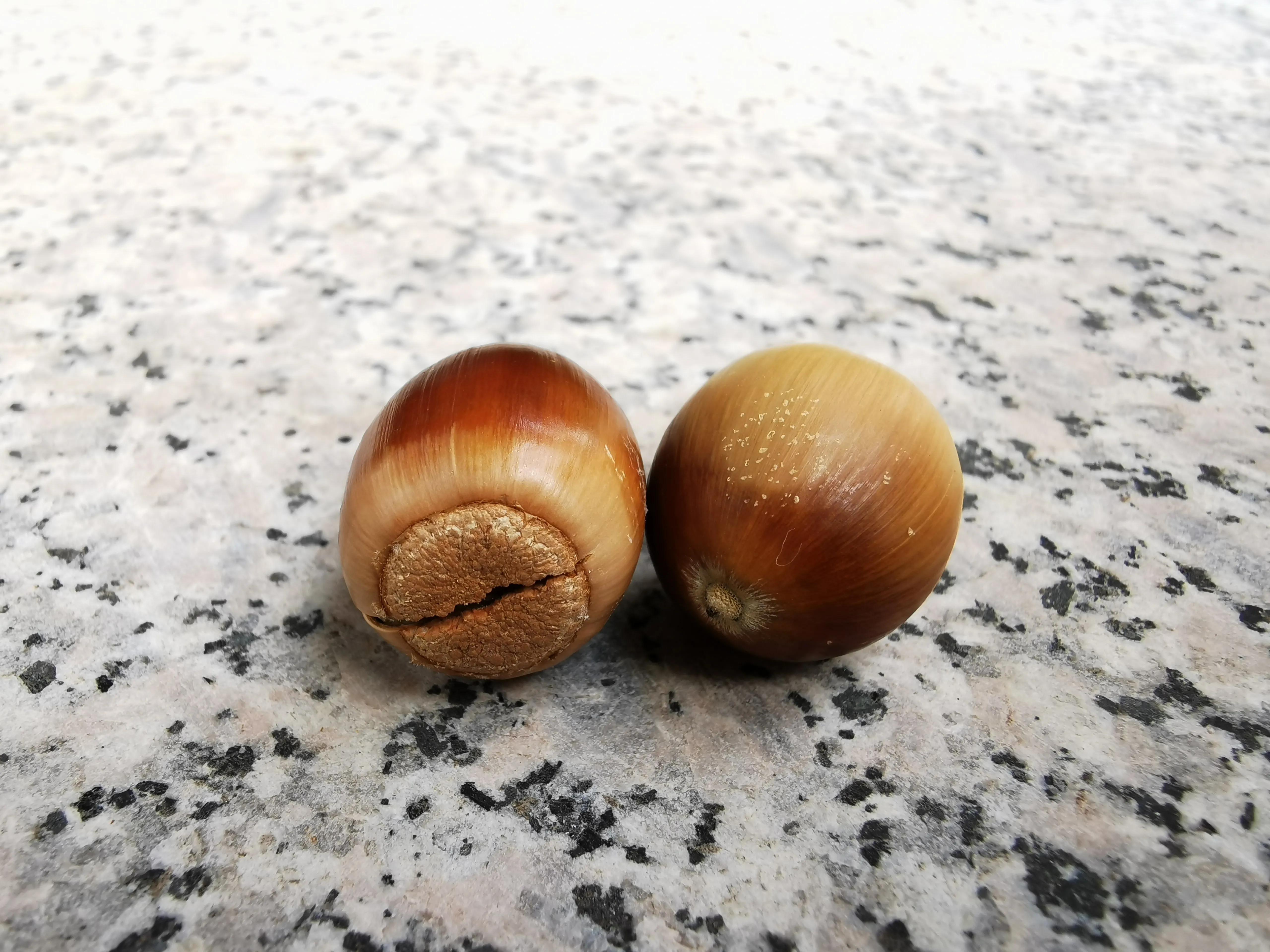 青岛崂山石老人观光园免门票吗,青岛石老人观光园景点图片