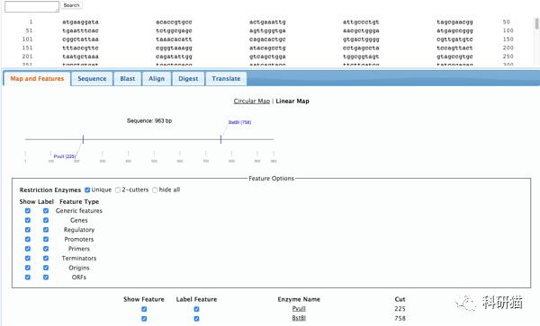 学习分子生物学的网站,分子生物学免费网站