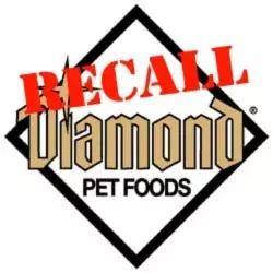 进口猫狗粮最新消息,315曝光的不合格猫粮名单