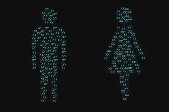 变性之后身份证性别,变性后身份证会不会被转为女性