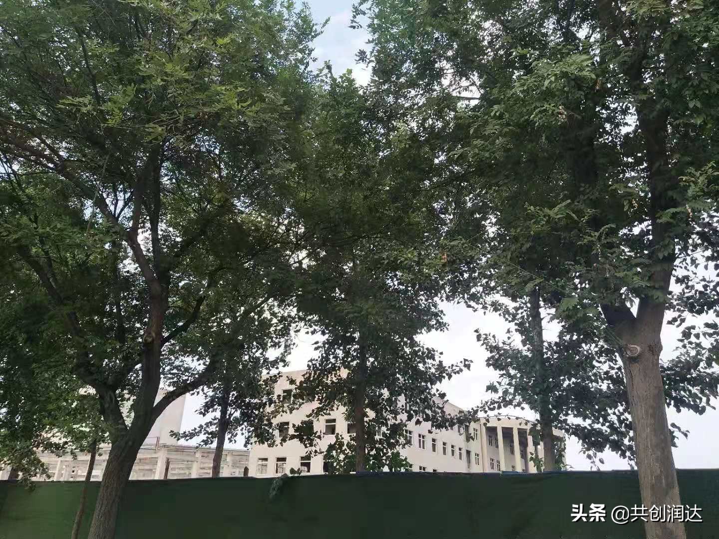 渭南崛起之六：渭南市人民医院（市妇幼保健院）新院址选址经开区