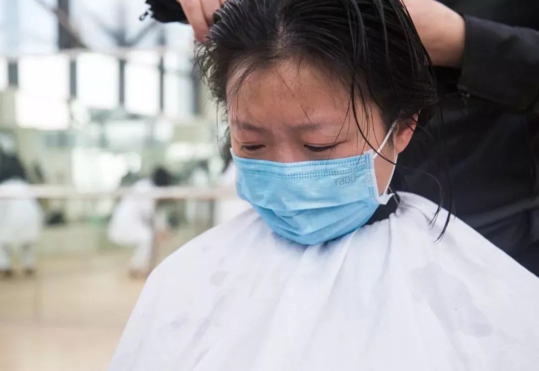 待凛冬离去雪融草青下句是什么,待疫情消散共赴暖阳