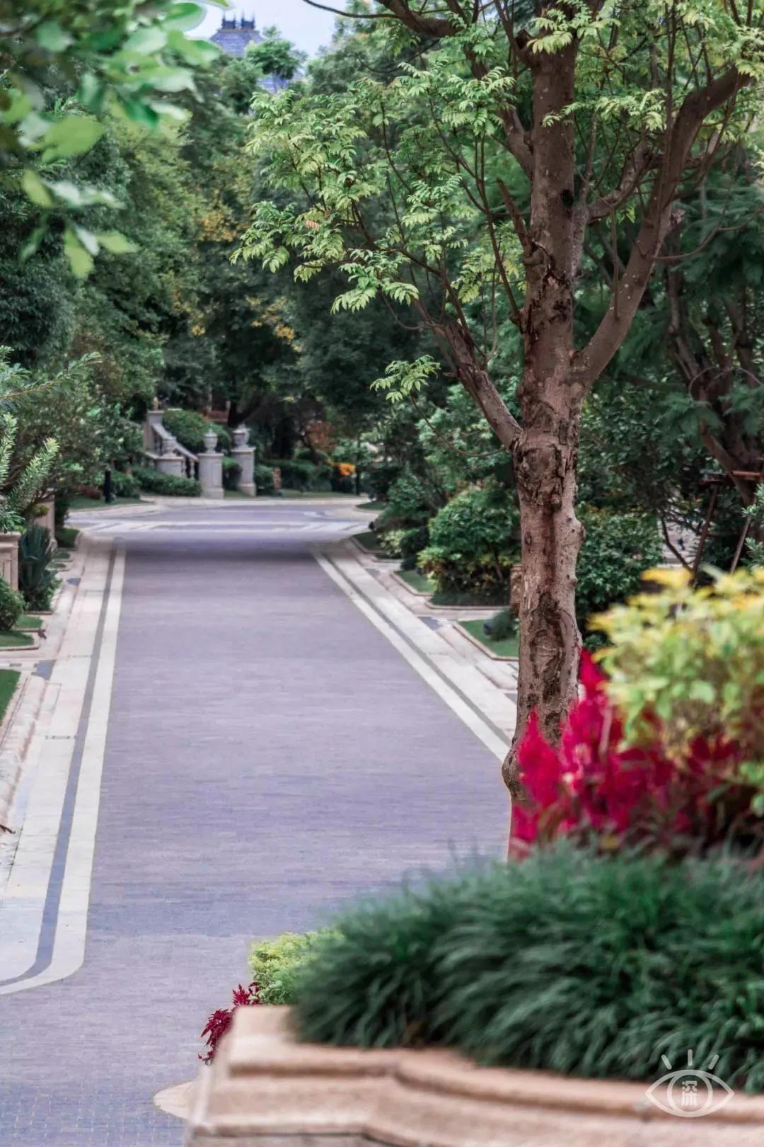 9号线上有什么景点吗,9号线游玩攻略大全