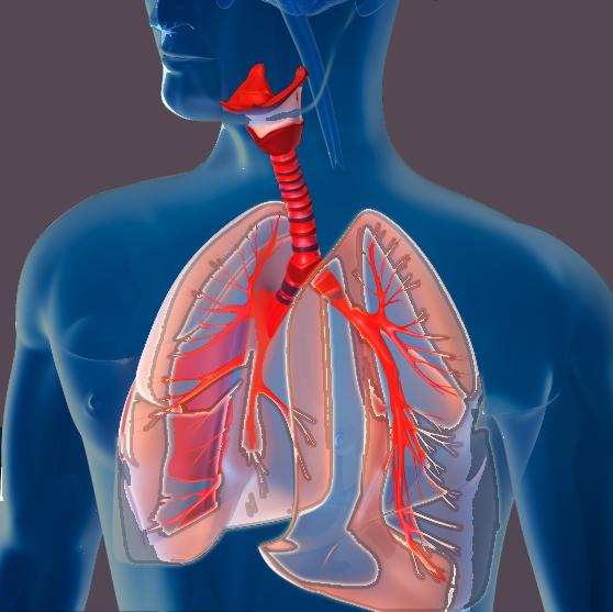 人体八大系统有哪些关键疾病,人体八大系统与用药关系