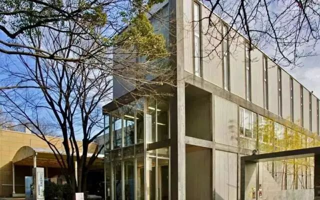 去东京旅游必去的地方,霓虹东京游玩攻略