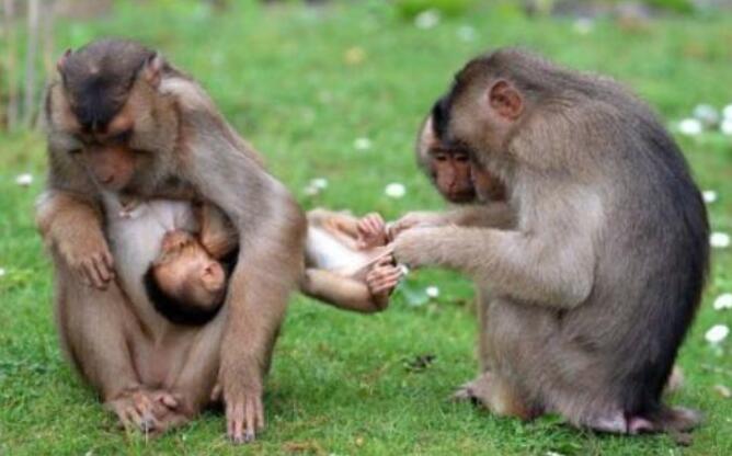 直男必备的聊天话术软件大全,社交软件陌生男孩聊天开场白