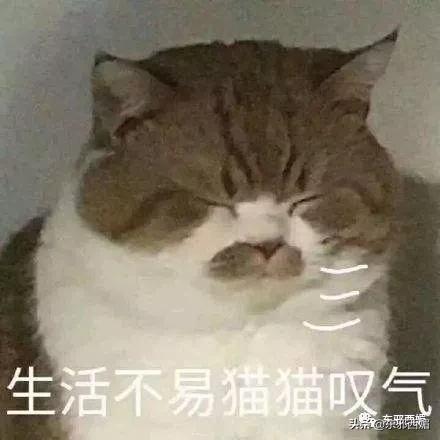 记不住她变化莫测的脸有什么关系？三层楼超豪华别墅过目难忘