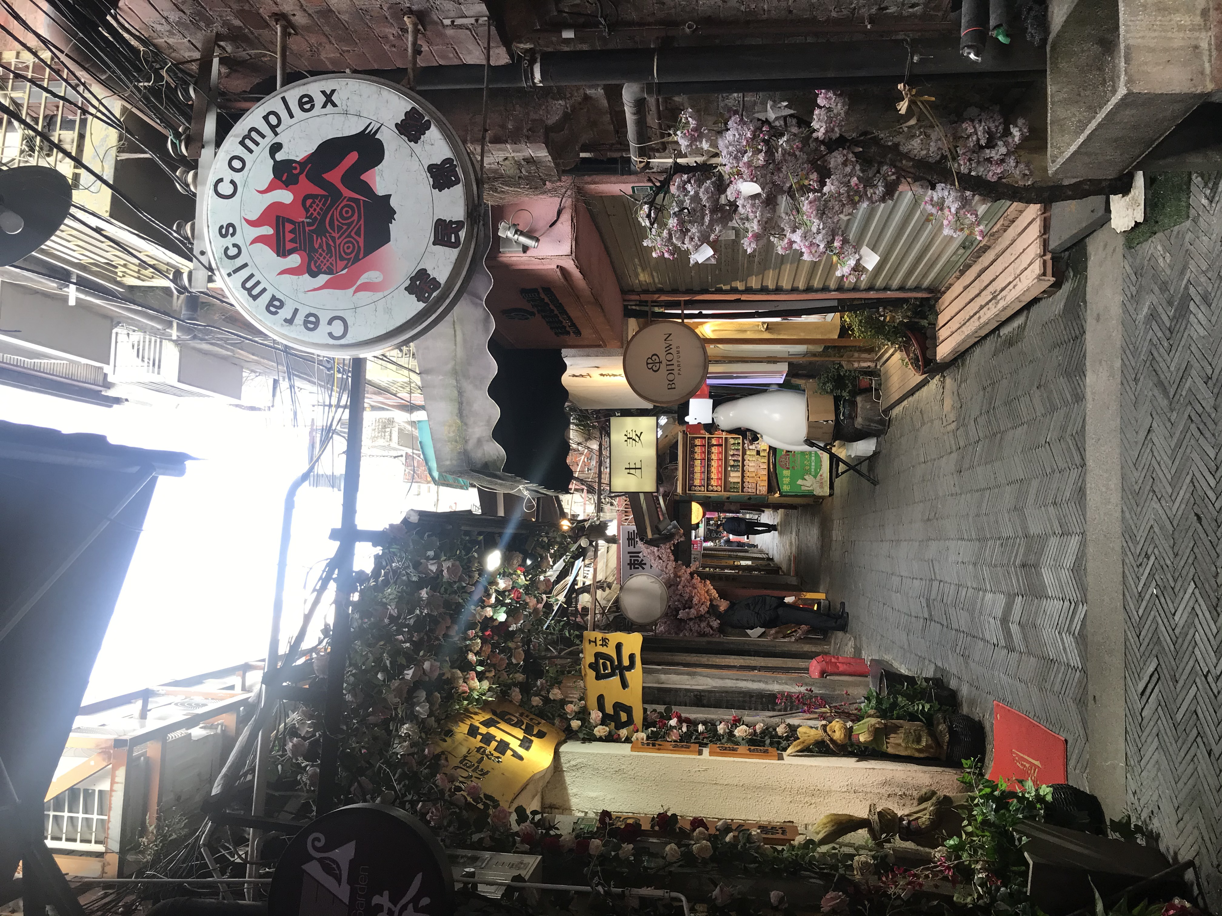 上海的春天视频,上海的春天美景