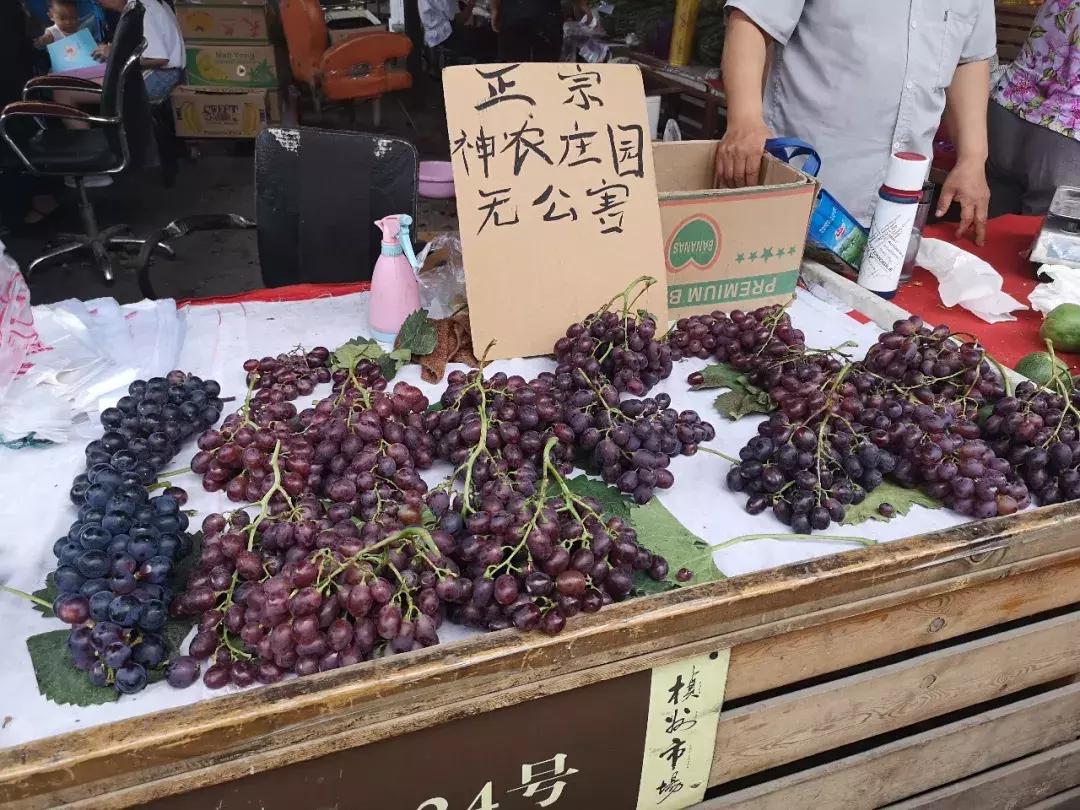 韩城市芝川镇神农葡萄庄园,韩城神农庄园葡萄酒电话