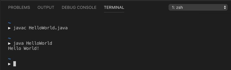终极指南摄影教程,visualstudiocode如何使用java