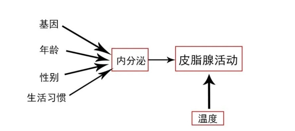 皮脂腺怎么处理,皮脂腺大怎么办