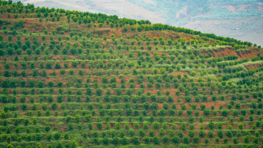 山水为证——走出一条具有开远特色的生态转型之路
