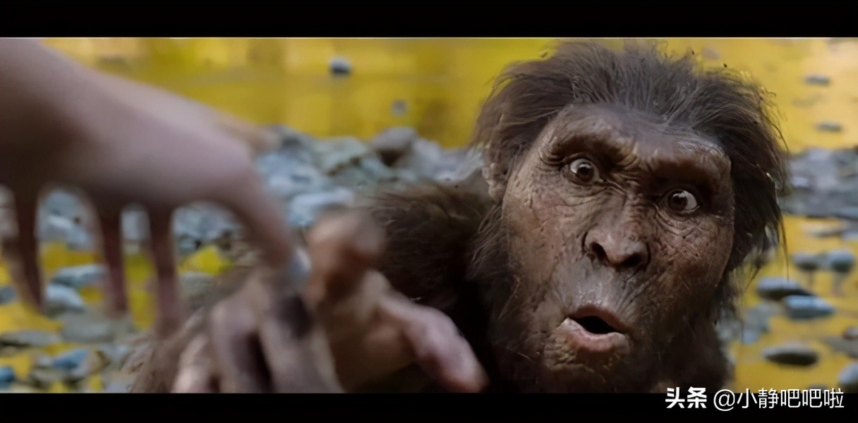 你不知道的国家冷知识——“黑人中的白人”埃塞俄比亚