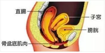 生完宝宝小便频繁是怎么回事,生完宝宝小便解不出来有什么后果